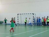 IMG_2309